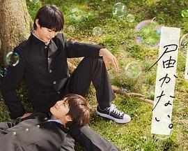 点映是完整的吗海报剧照